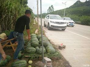 搬板凳坐着吃瓜,共享夏日悠闲时光