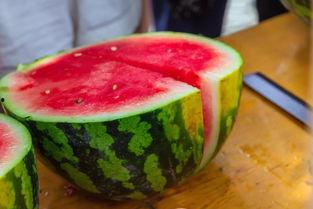 大清早吃瓜图片,瓜田里的欢乐时光