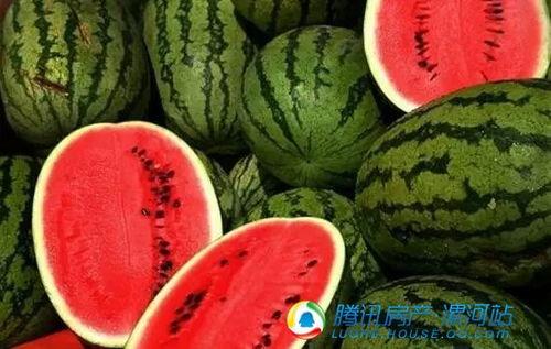 云木吃瓜a,揭秘网络热词背后的趣味与思考