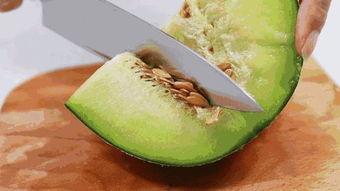 小月吃蜜瓜,甜蜜滋味，尽享夏日风情