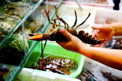 摸鱼吃瓜不抓虾,不忘抓虾乐趣