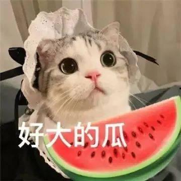 鲁迅的猹吃瓜,揭示人性百态的讽刺画卷