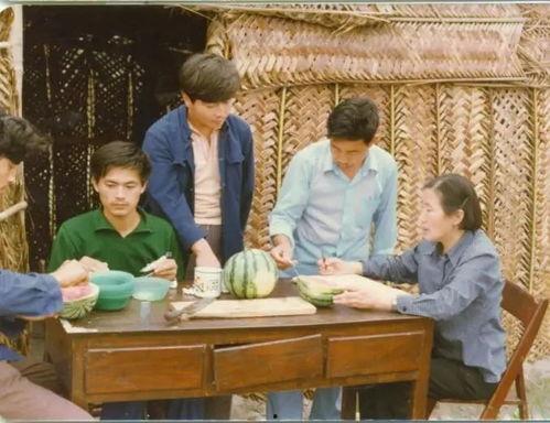 吃瓜莫忘吴明珠,揭秘瓜王背后的传奇人生