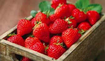 吃颗草莓瓜,甜蜜诱惑，舌尖上的夏日风情