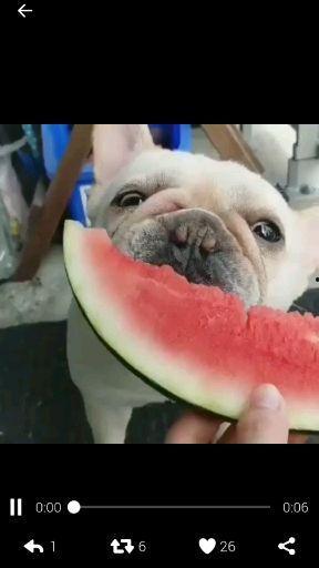 军娃聊天吃瓜,揭秘军营里的“吃瓜”趣事