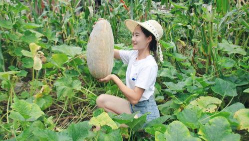 阿媛吃瓜,揭秘娱乐圈那些不为人知的幕后故事