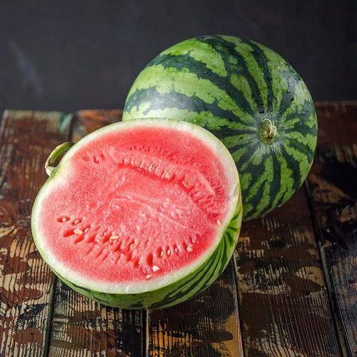 糖人吃麒麟瓜,邂逅麒麟瓜的甜蜜传说