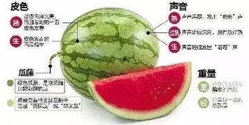 微信吃瓜趣事,揭秘网络社交圈的欢乐瞬间