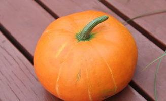 吃瓜配音效果,一场别开生面的吃瓜盛宴