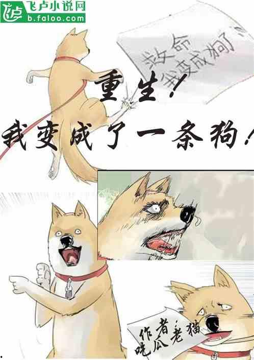 吃瓜小说超长合集,吃瓜小说超长合集全景扫描