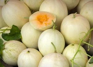 亚甲炎可以吃白兰瓜吗,亚甲炎患者适宜食用白兰瓜吗？