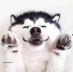 吃瓜现场素材视频