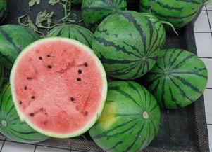 东港二中吃瓜,揭秘校园里的热点话题