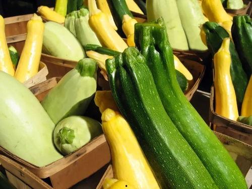 北语吃瓜,揭秘“吃瓜”背后的故事