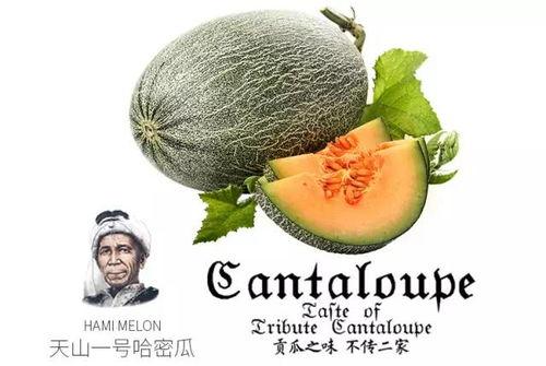 空间吃瓜号,带你领略娱乐圈幕后风云