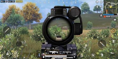 cs网恋吃瓜,揭秘CS游戏中的甜蜜与陷阱