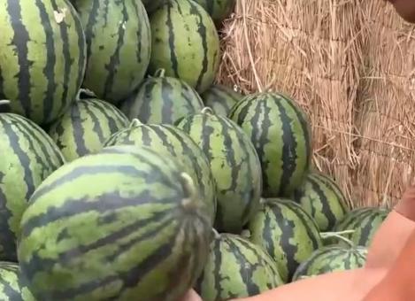 56全网吃瓜爆料