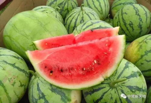 评课瓜瓜吃瓜,一场别开生面的教育盛宴