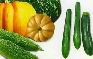 只懂看花不懂吃瓜,瓜界门外汉