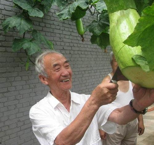 西宁两老头吃瓜,引发网友热议