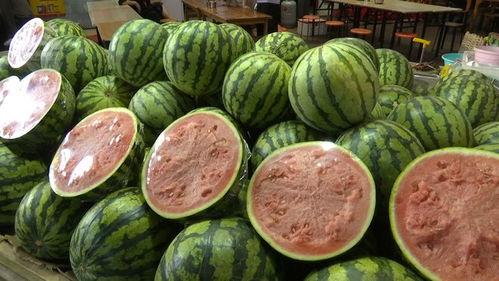 西宁两老头吃瓜,引发网友热议