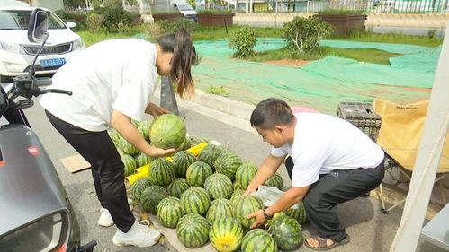 西宁两老头吃瓜,引发网友热议