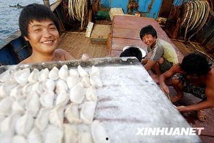 中国渔民 吃瓜,海上“吃瓜群众”的渔村生活