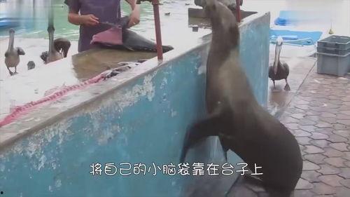 吃瓜渔民上岸,揭秘海上生活与上岸后的转变