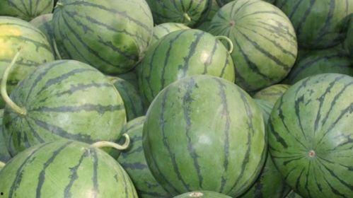 吃瓜有什么分类,揭秘各类“瓜”的趣味分类与内涵