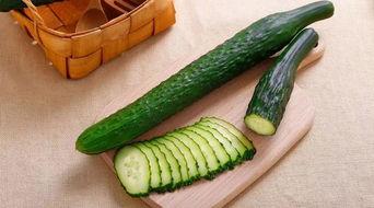 蟑螂吃瓜,瓜果成为它们的新宠