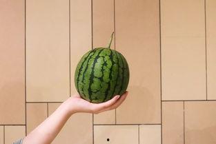 西昌17度吃瓜月华,月华映照下的甜蜜盛宴