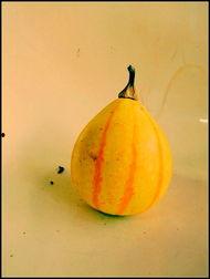 徐州新沂吃瓜事件,一场网络热议背后的真相揭秘