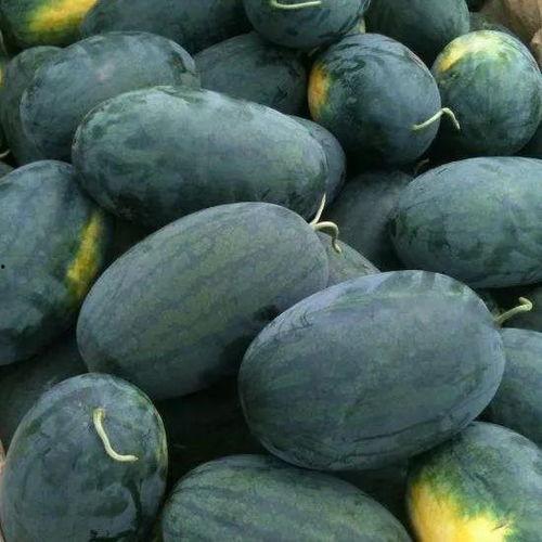 黑色正能量吃瓜,揭秘吃瓜群众的快乐源泉