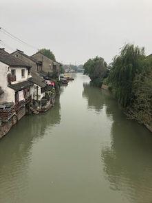 烟雨江南吃瓜白染