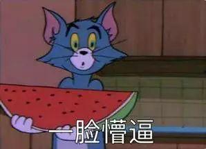 吃瓜表情包花生,揭秘网络热梗背后的趣味与智慧