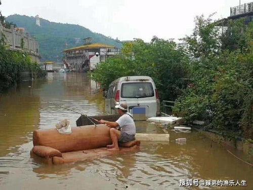 钓鱼人和吃瓜群众,揭秘钓鱼人的世界与吃瓜群众的围观视角