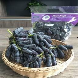 释迦吃瓜,一段瓜田里的佛门传说