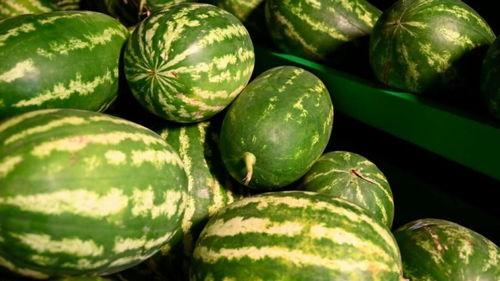 长春近期热门吃瓜事件