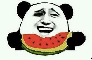 励志吃瓜视频大全