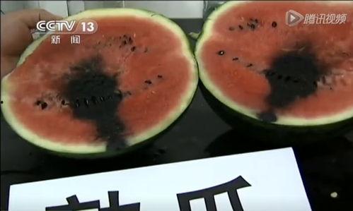 缅甸北部吃瓜视频,吃瓜群众视角下的社会百态
