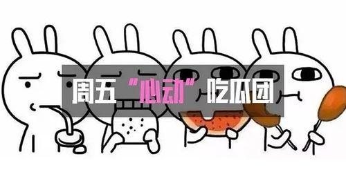 心动吃瓜,瓜田里的甜蜜邂逅