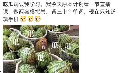 八卦大全吃瓜,揭秘娱乐圈幕后故事，吃瓜群众必看